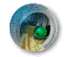 Wasserfix